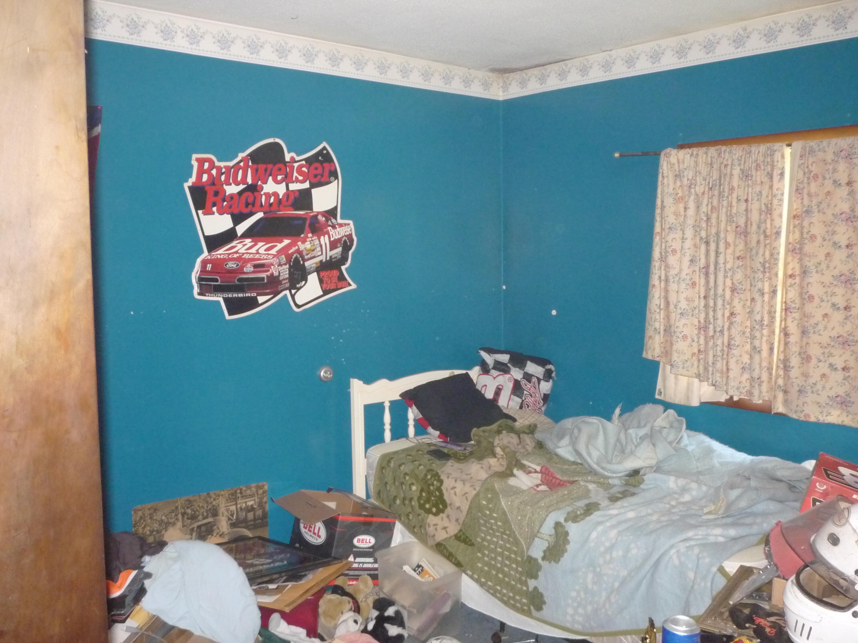 3311 8 1/2 Mile Road Union City, MI 49094 - Photo 16 of 48 P1070266