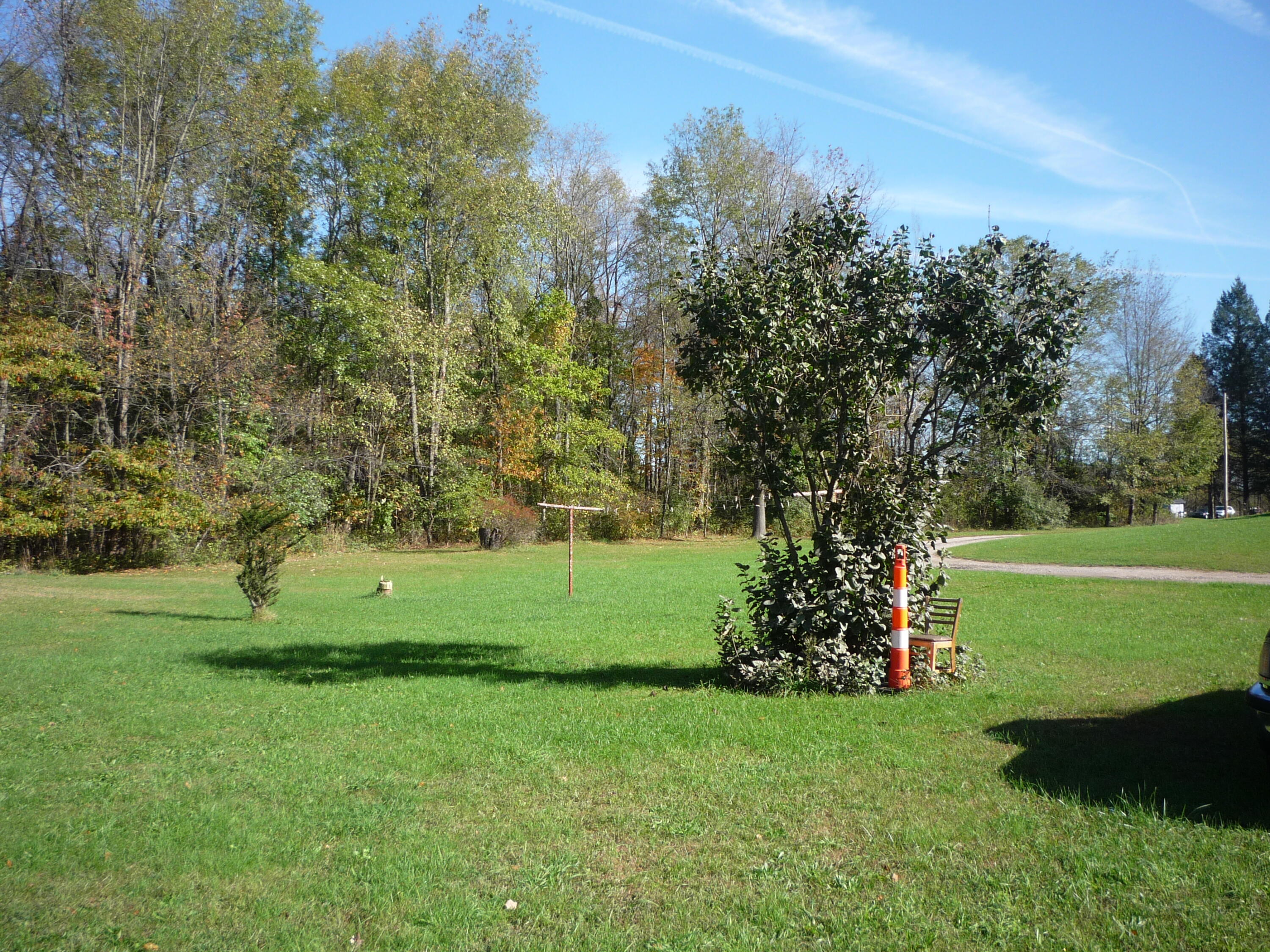 3311 8 1/2 Mile Road Union City, MI 49094 - Photo 33 of 48 P1070282