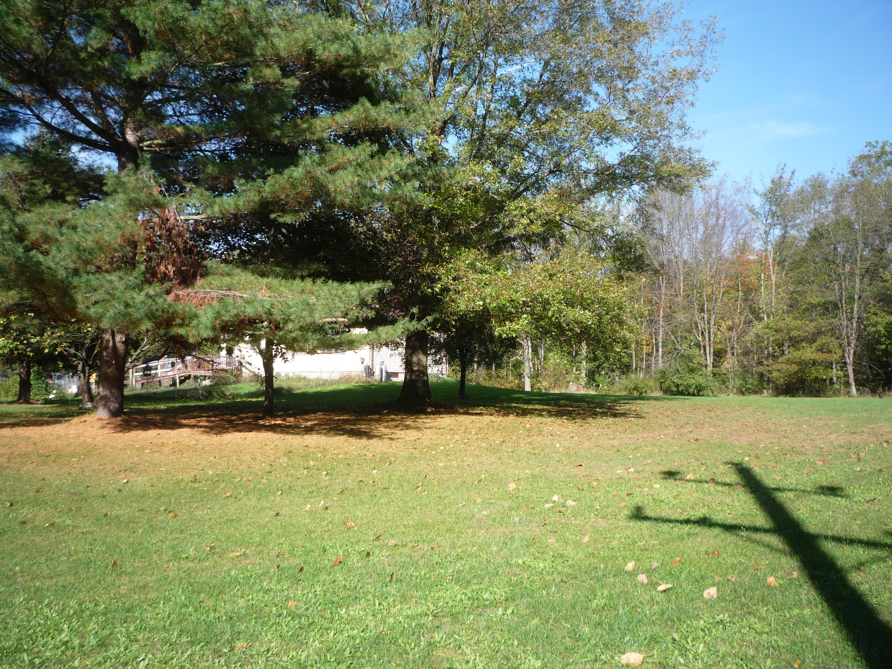 3311 8 1/2 Mile Road Union City, MI 49094 - Photo 34 of 48 P1070290