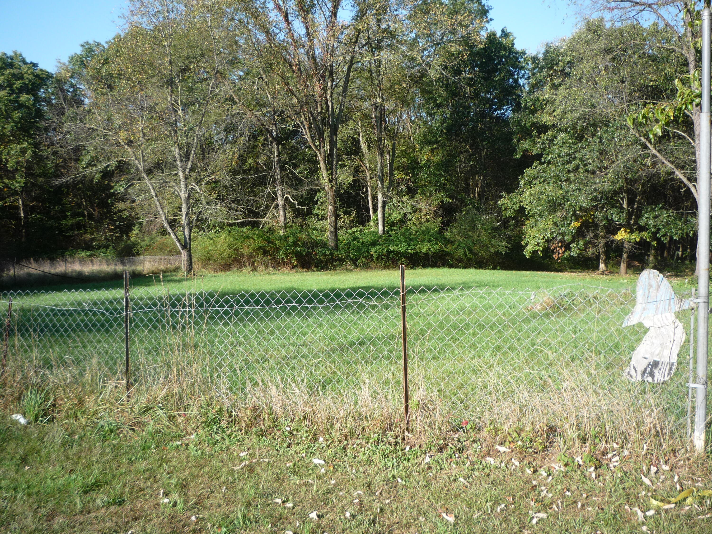 3311 8 1/2 Mile Road Union City, MI 49094 - Photo 44 of 48 P1080740