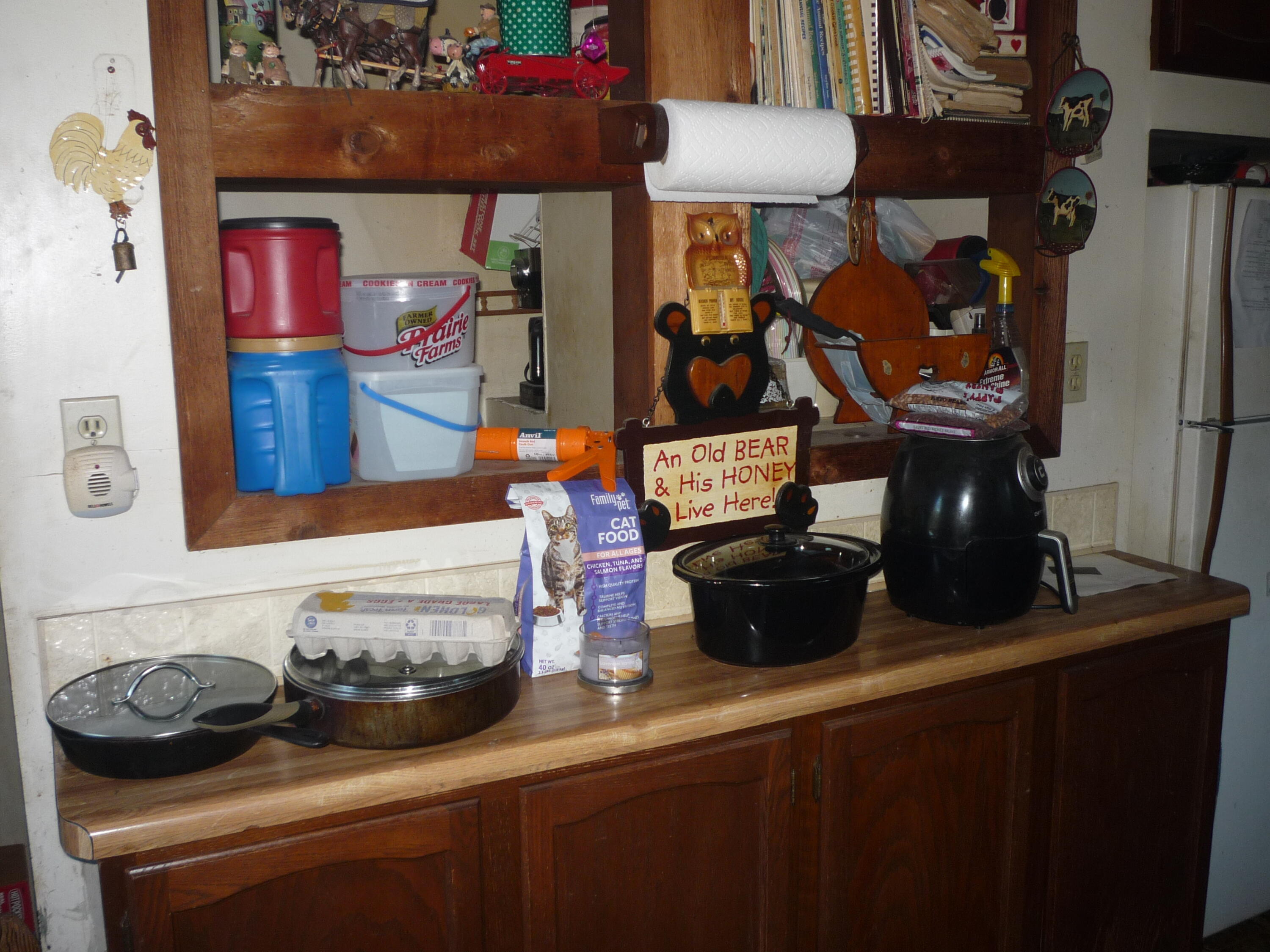 3311 8 1/2 Mile Road Union City, MI 49094 - Photo 7 of 48 P1080728