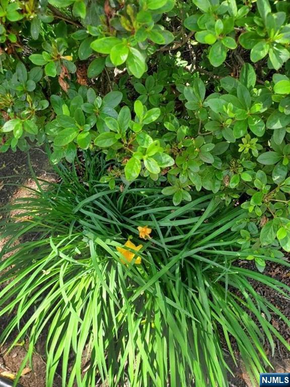 100 Huguenot Avenue, Unit 6B Englewood, NJ 07631 - Photo 17 of 24 a backyard of a house with lots of green space