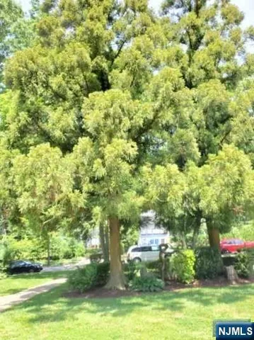 a view of yard with green space