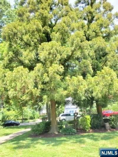 100 Huguenot Avenue, Unit 6B Englewood, NJ 07631 - Photo 18 of 24 a view of yard with green space