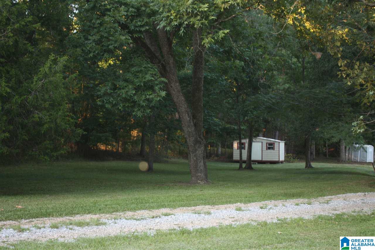 0 Louina Road Roanoke, AL 36274 - Photo 9 of 33