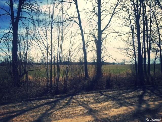 D1-d4 Shoemaker Road Almont, MI 48003 - Photo 4 of 10