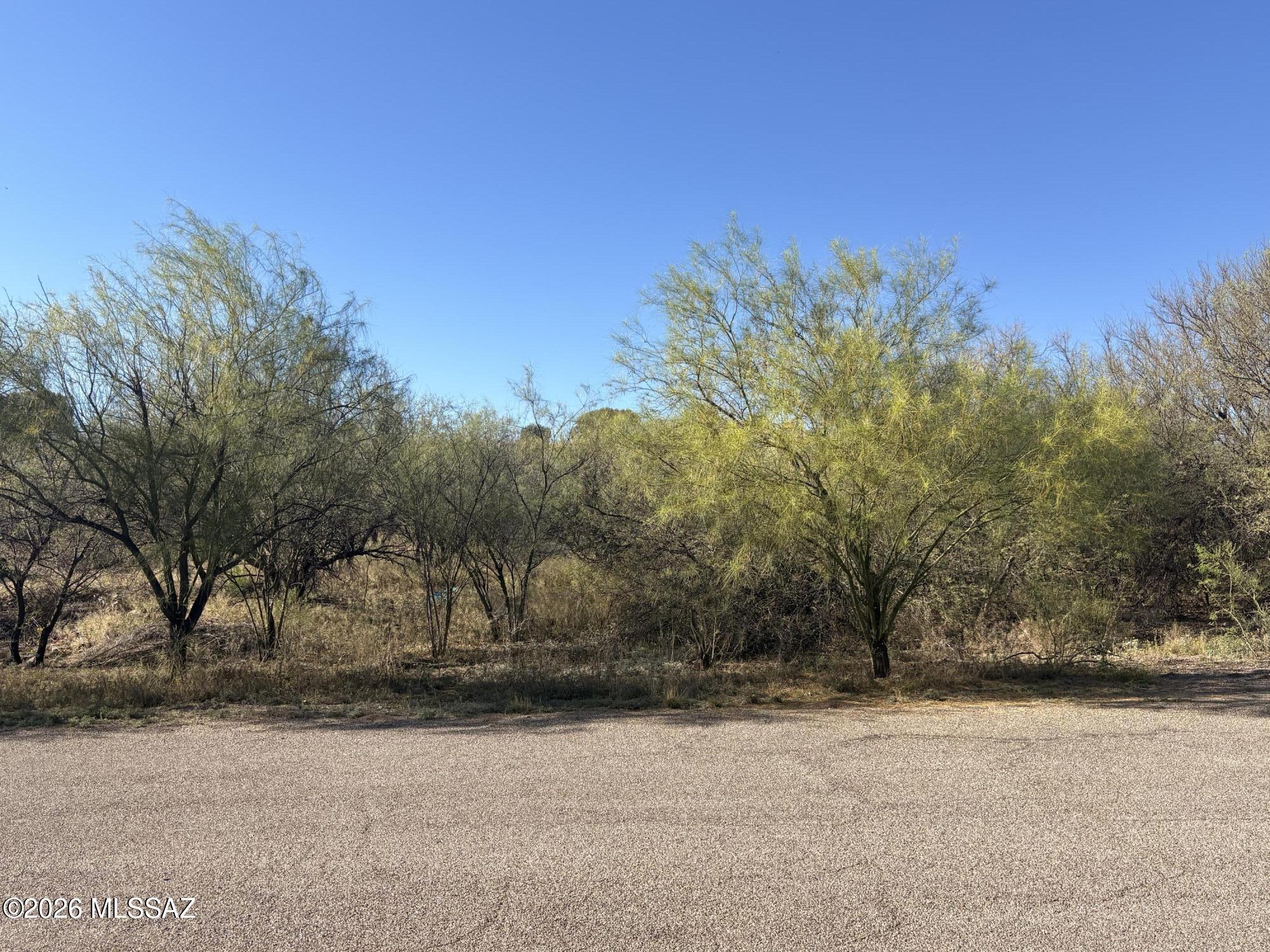 412 Wrightson Street, Unit 3 Rio Rico, AZ 85648 - Photo 1 of 5 a view of a yard with a tree