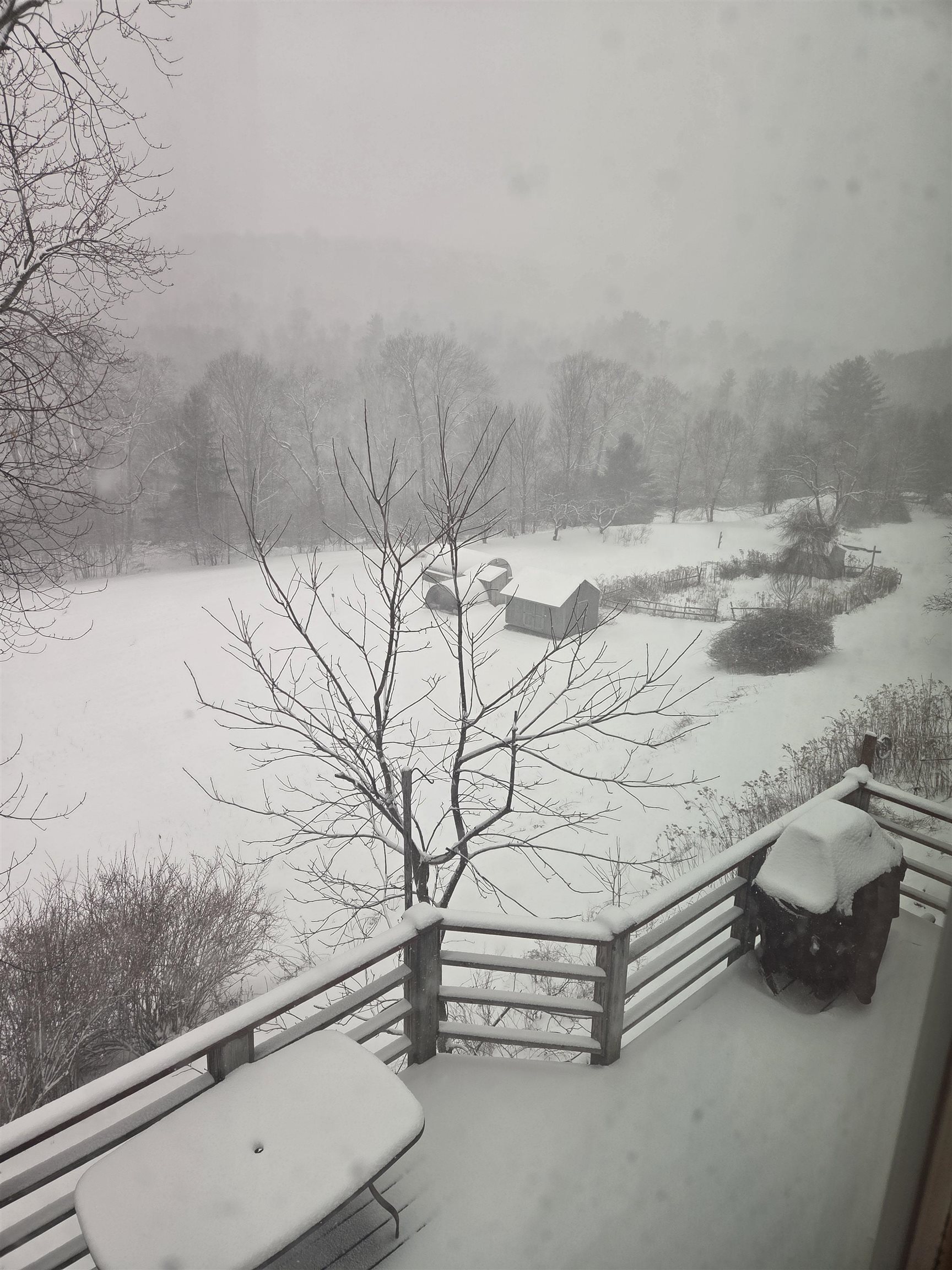 289 Lamb Hill Road Wells, VT 05774 - Photo 23 of 23