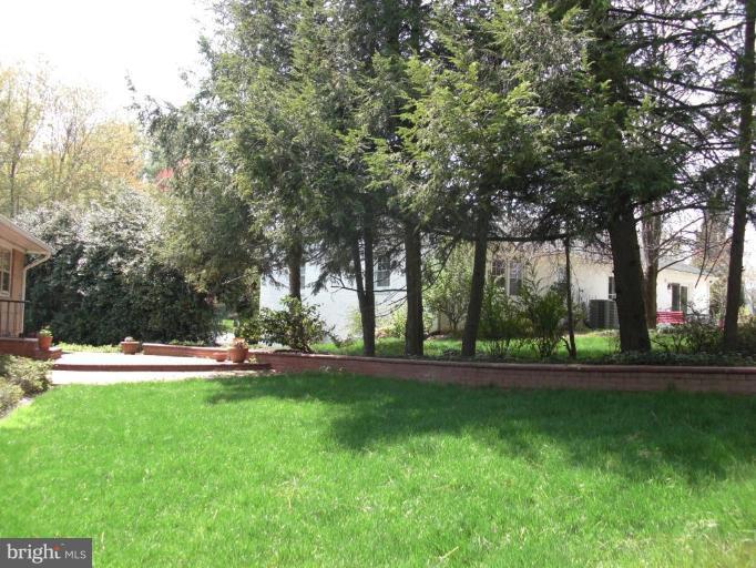 6200 Chesterbrook Road McLean, VA 22101 - Photo 10 of 15 Back yard