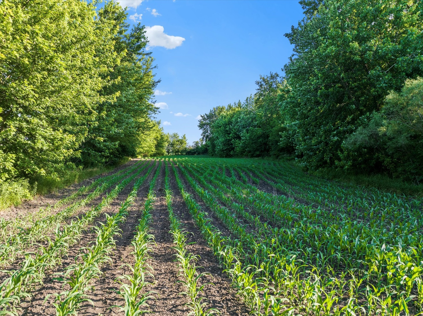 0 South Warner Bridge Road Wilmington, IL 60481 - Photo 13 of 16 a lake view with a outdoor space