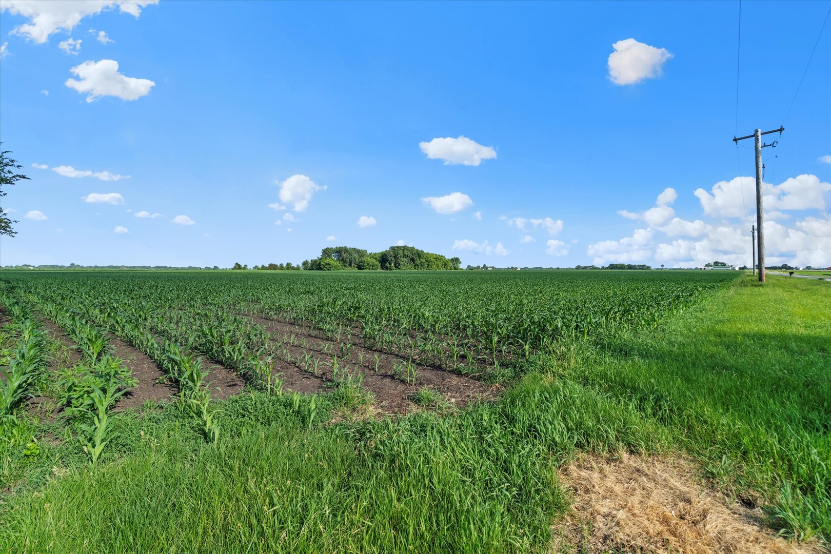 0 South Warner Bridge Road Wilmington, IL 60481 - Photo 14 of 16 a view of a golf course with a big yard