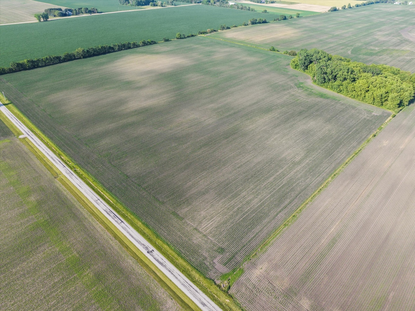 0 South Warner Bridge Road Wilmington, IL 60481 - Photo 2 of 16 a view of a field