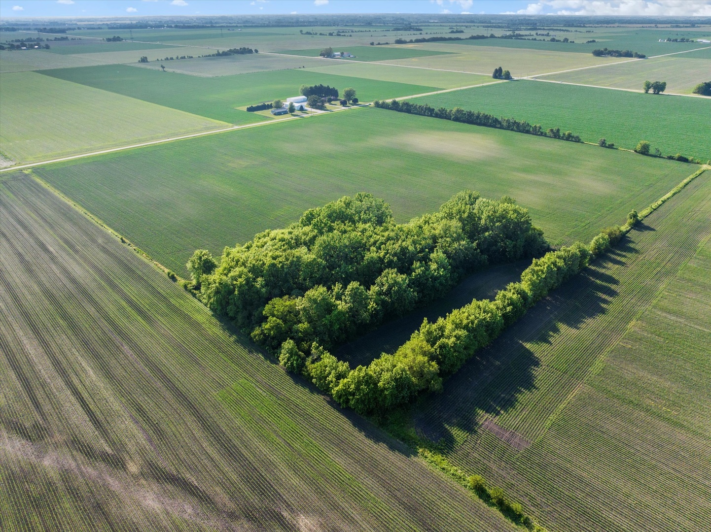 0 South Warner Bridge Road Wilmington, IL 60481 - Photo 4 of 16 a view of a lake with a yard