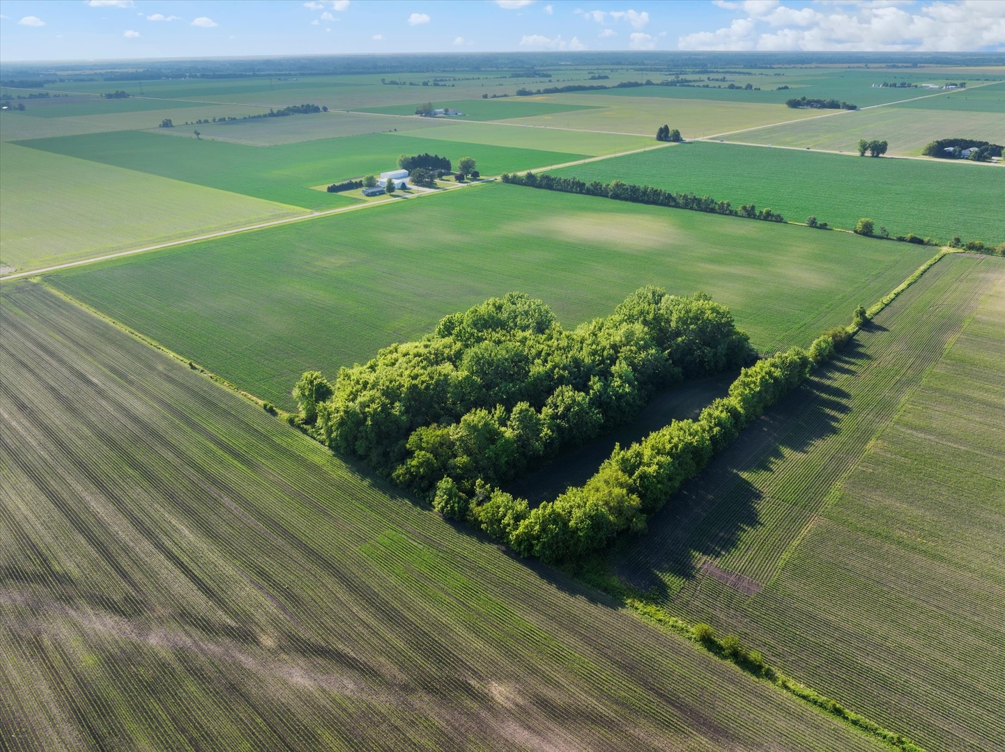 0 South Warner Bridge Road Wilmington, IL 60481 - Photo 6 of 16 a view of a lake with a yard
