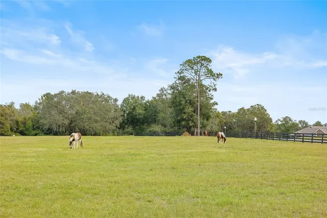 $1,650,000 | 41526 Saddle Ridge Lane, Weirsdale, FL 32195