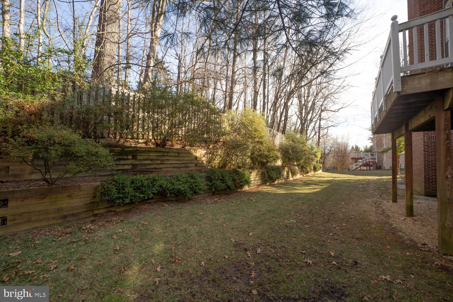 10505 Democracy Lane Potomac, MD 20854 - Photo 45 of 47 a view of road with large trees