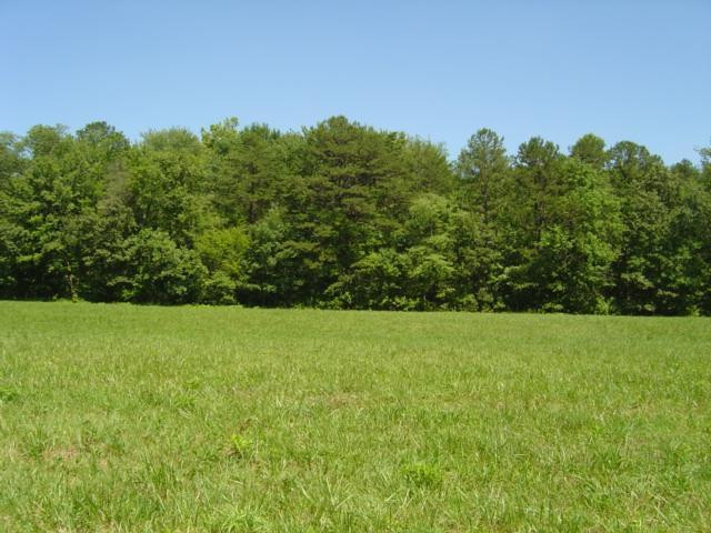 9999 Patton Road London, KY 40744 - Photo 5 of 28 Photo 5