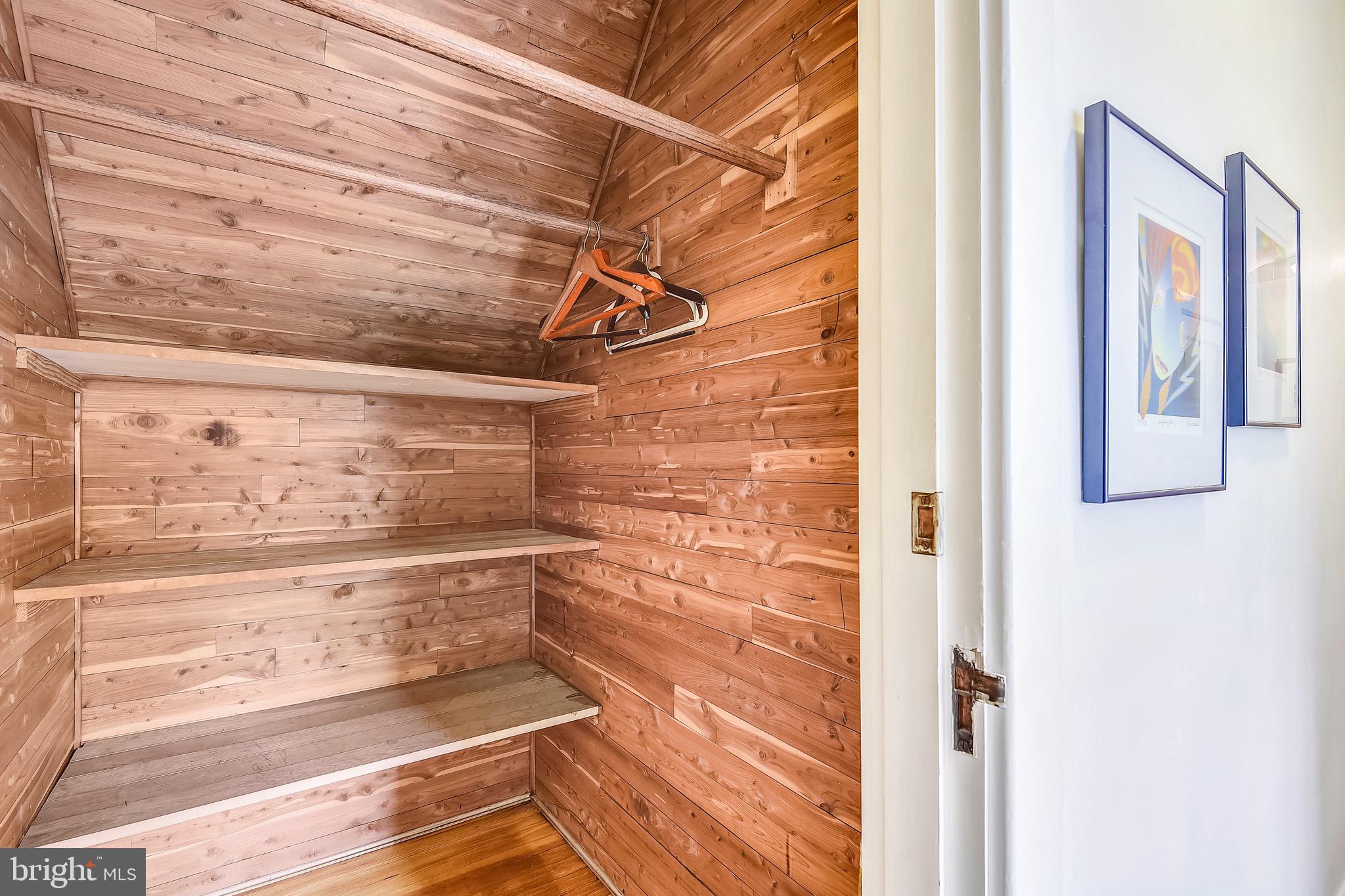 104 Tunbridge Road Baltimore, MD 21212 - Photo 51 of 62 Cedar lined closet