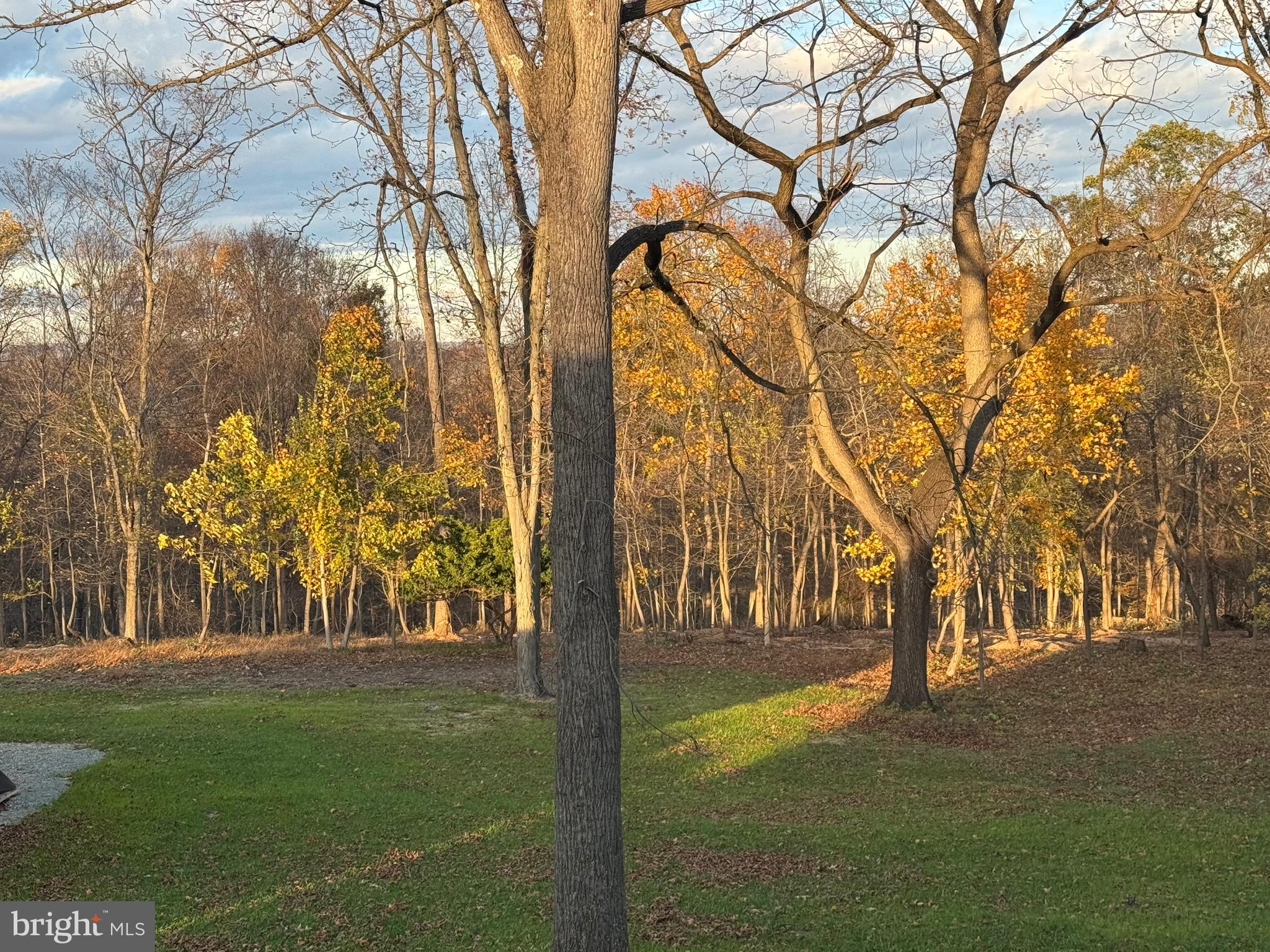 55 Apple Hill Road Furlong, PA 18925 - Photo 26 of 30