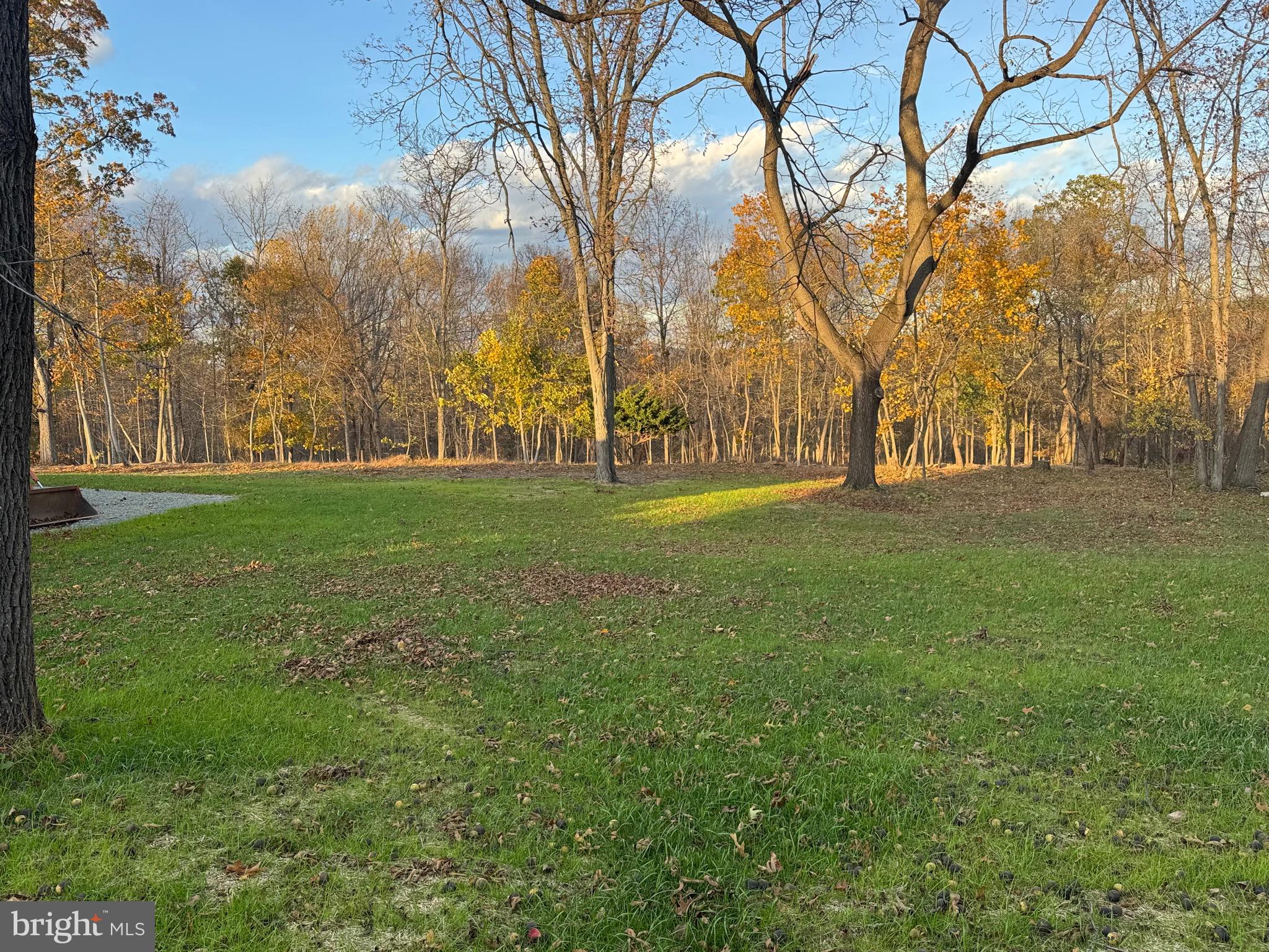 55 Apple Hill Road Furlong, PA 18925 - Photo 27 of 30 a big yard with large trees