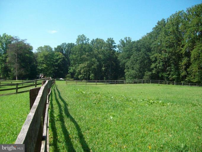 3763 Houcks Road Monkton, MD 21111 - Photo 8 of 10 Wooded View / Acreage 2