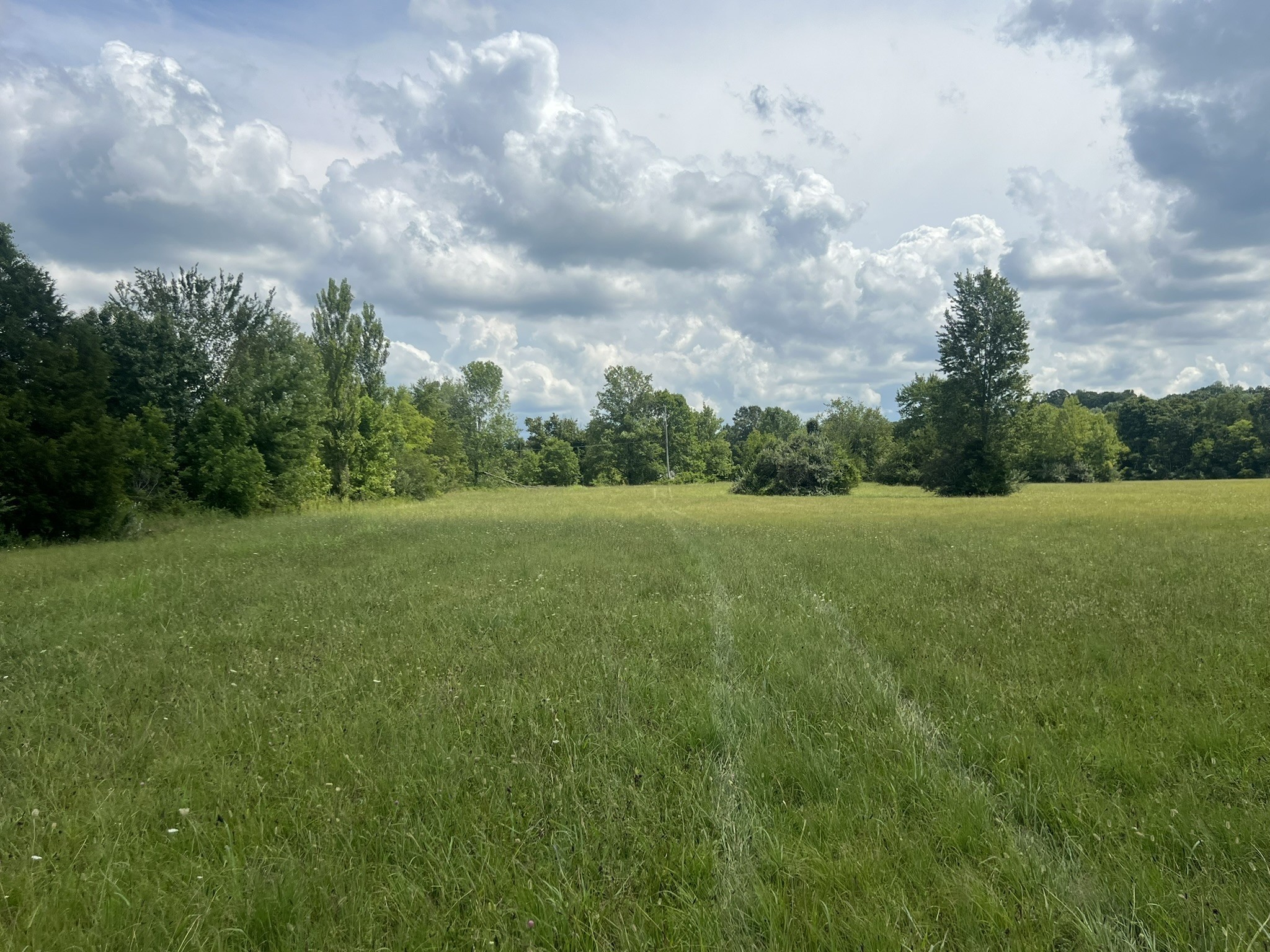 0 Martin Road Portland, TN 37148 - Photo 19 of 26 Gallery Image 19