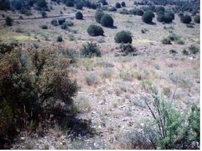 0 Outlaw Way Camp Rimrock, AZ 86335 - Photo 1 of 1 Primary Photo