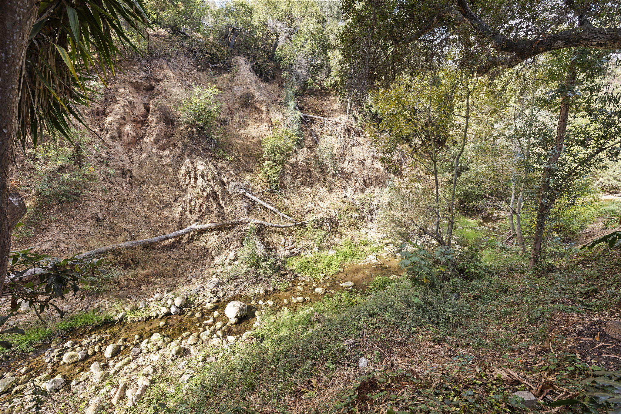 5130 Cathedral Oaks Road Santa Barbara, CA 93111 - Photo 51 of 68 a view of a tree