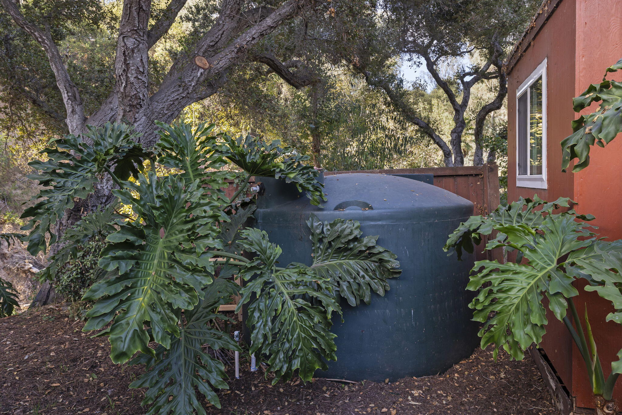 5130 Cathedral Oaks Road Santa Barbara, CA 93111 - Photo 60 of 68 a view of a garden with plants