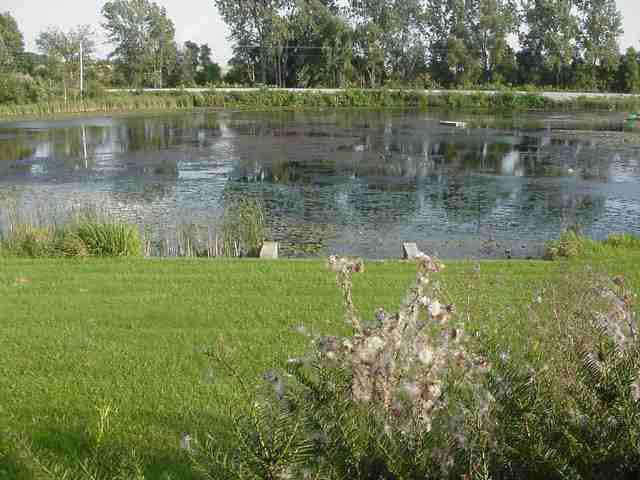 6530 North Ray Road Fremont, IN 46737 - Photo 5 of 9