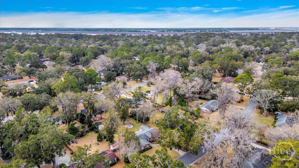 311 Pickwick Road Savannah, GA 31410 - Photo 63 of 65