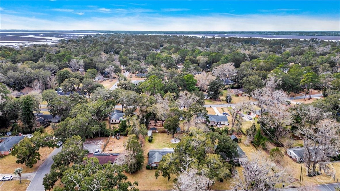 311 Pickwick Road Savannah, GA 31410 - Photo 64 of 65