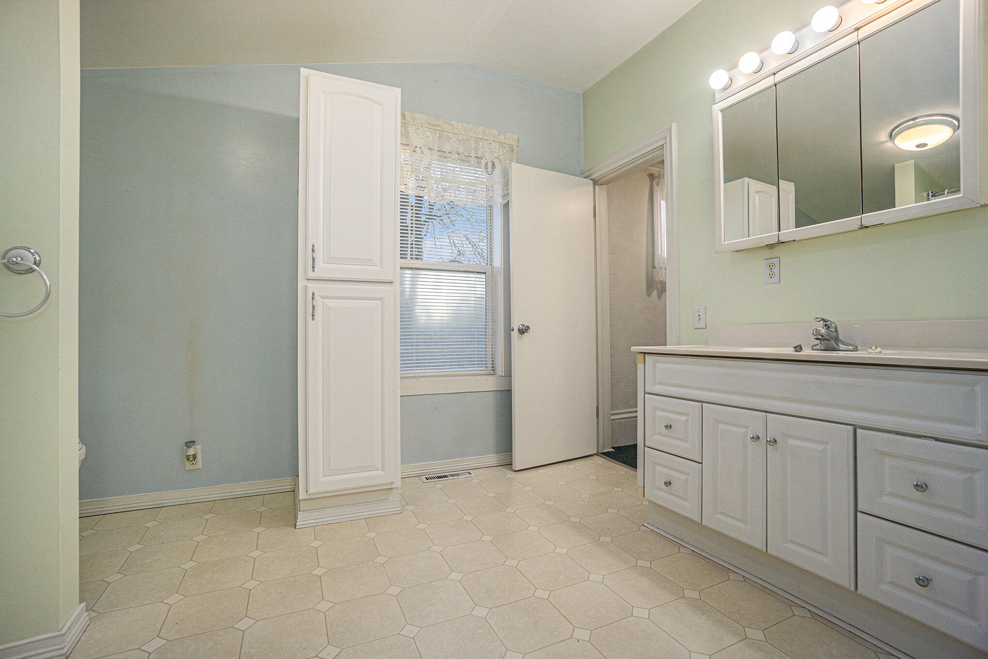 214 South Hooker Avenue Three Rivers, MI 49093 - Photo 11 of 18 014_dsc05733