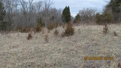 2 Bridgeport-Benson Road Frankfort, KY 40601 - Photo 7 of 10 Photo 7