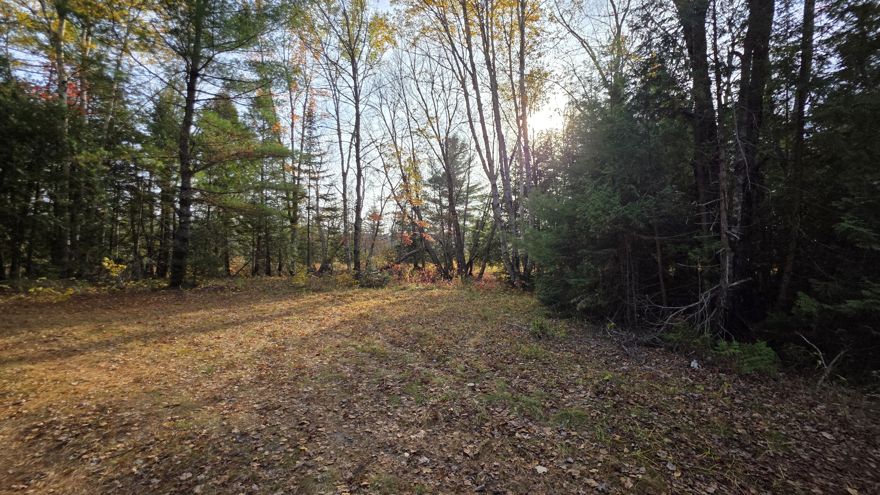 12 Maple Grv Road Lee, ME 04455 - Photo 41 of 49