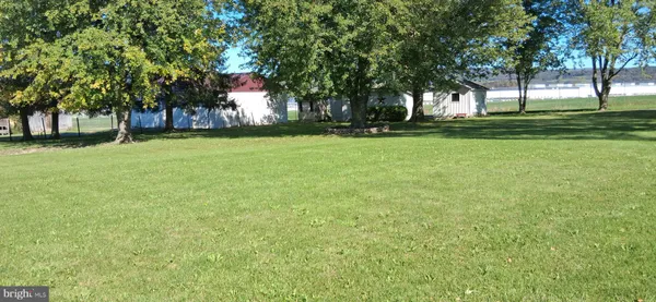 a view of a park with large trees