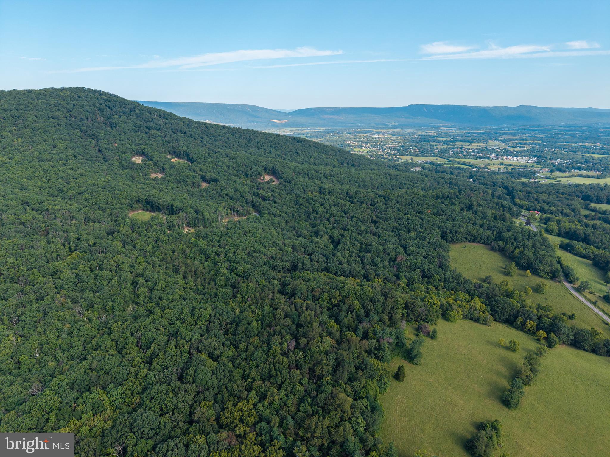 Lot B54 Roundhead Mountain Road Stanley, VA 22851 - Photo 9 of 43 Gallery Image 9