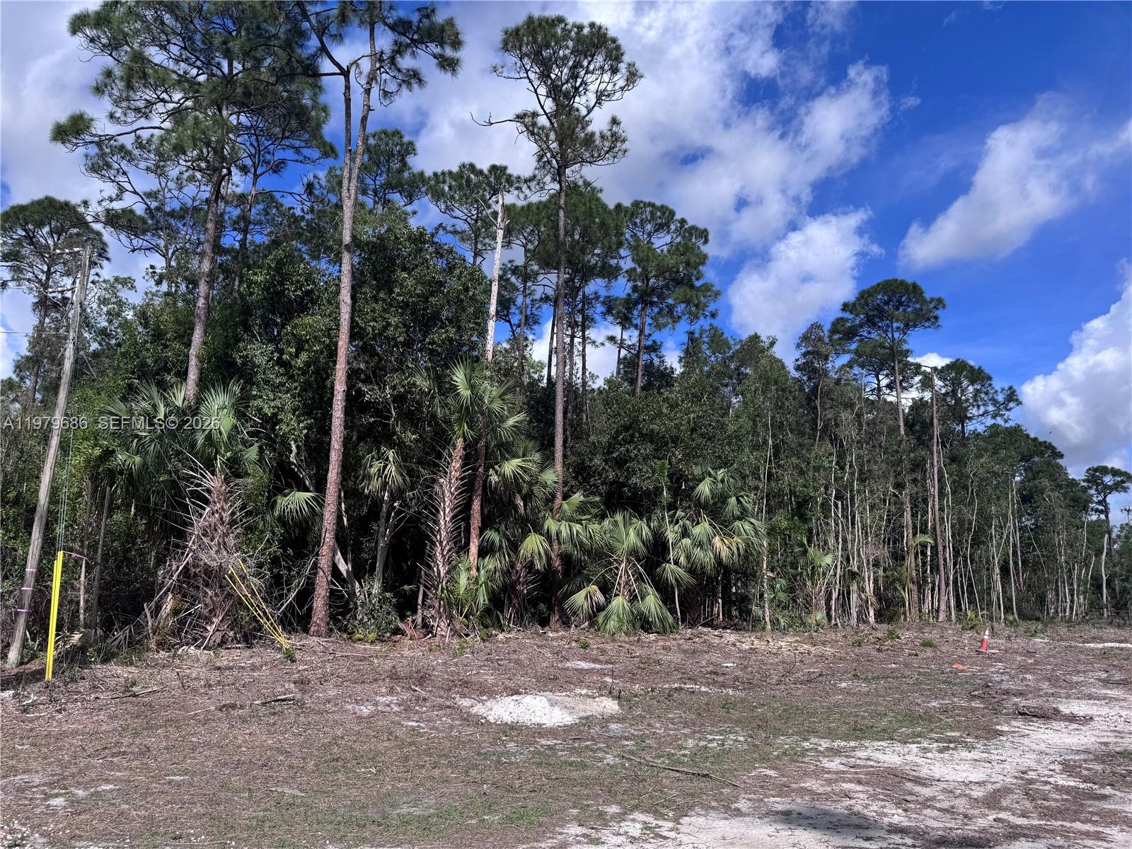 5130 Homeland Road Lake Worth, FL 33449 - Photo 7 of 7