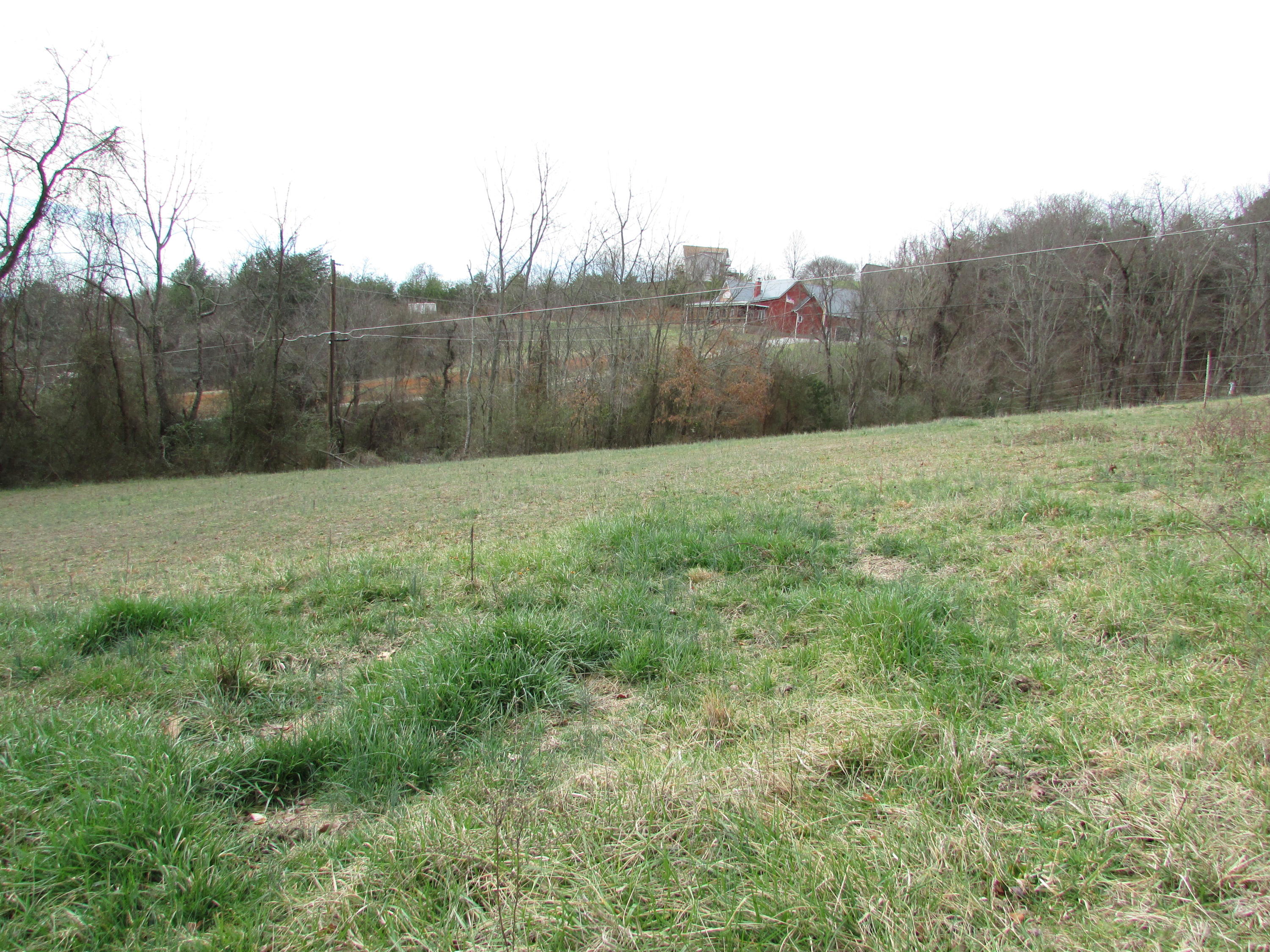361 Rocky Branch Road Elizabethton, TN 37643 - Photo 2 of 42 IMG_5150