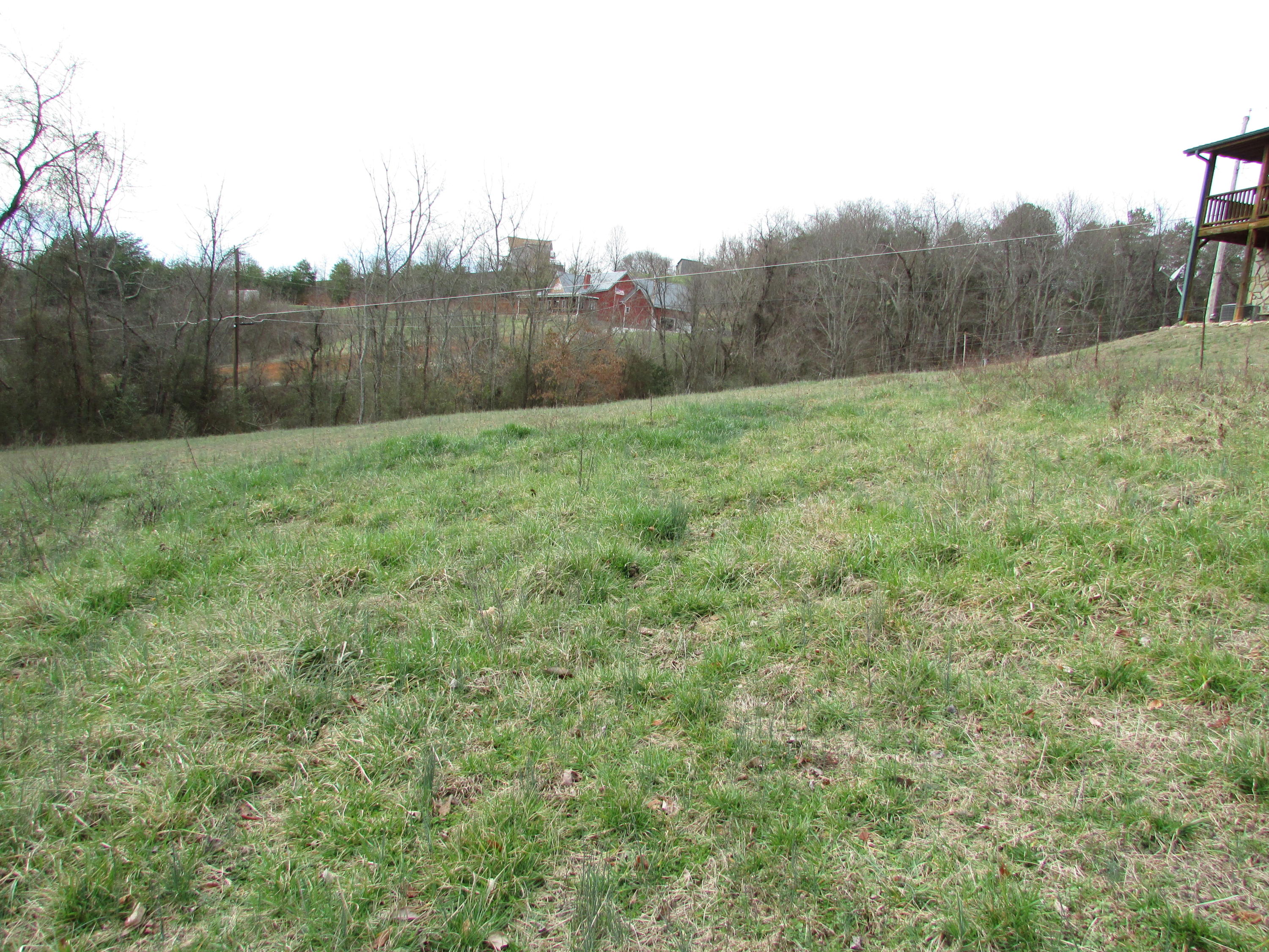 361 Rocky Branch Road Elizabethton, TN 37643 - Photo 39 of 42 IMG_5151