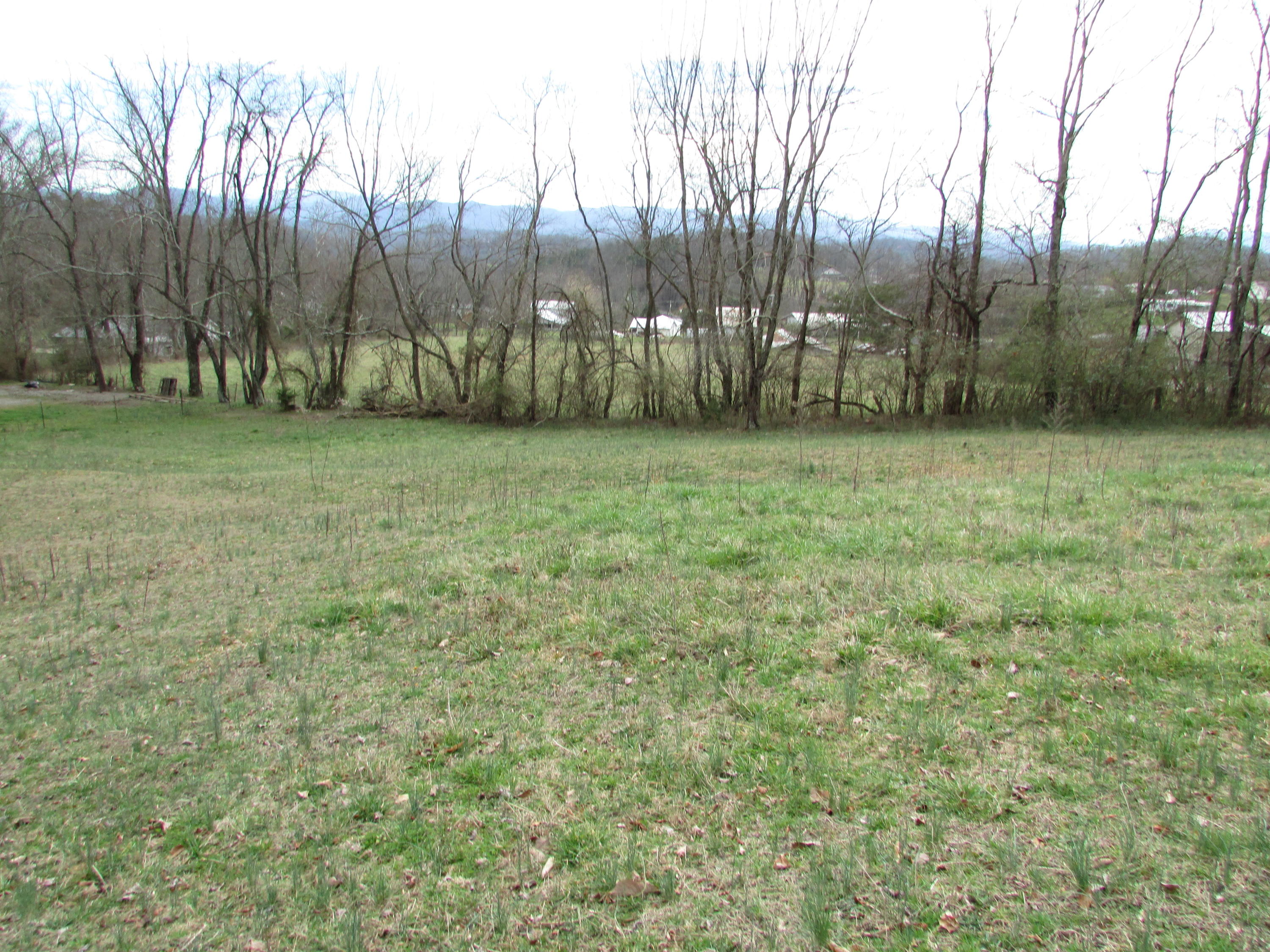 361 Rocky Branch Road Elizabethton, TN 37643 - Photo 40 of 42 IMG_5152