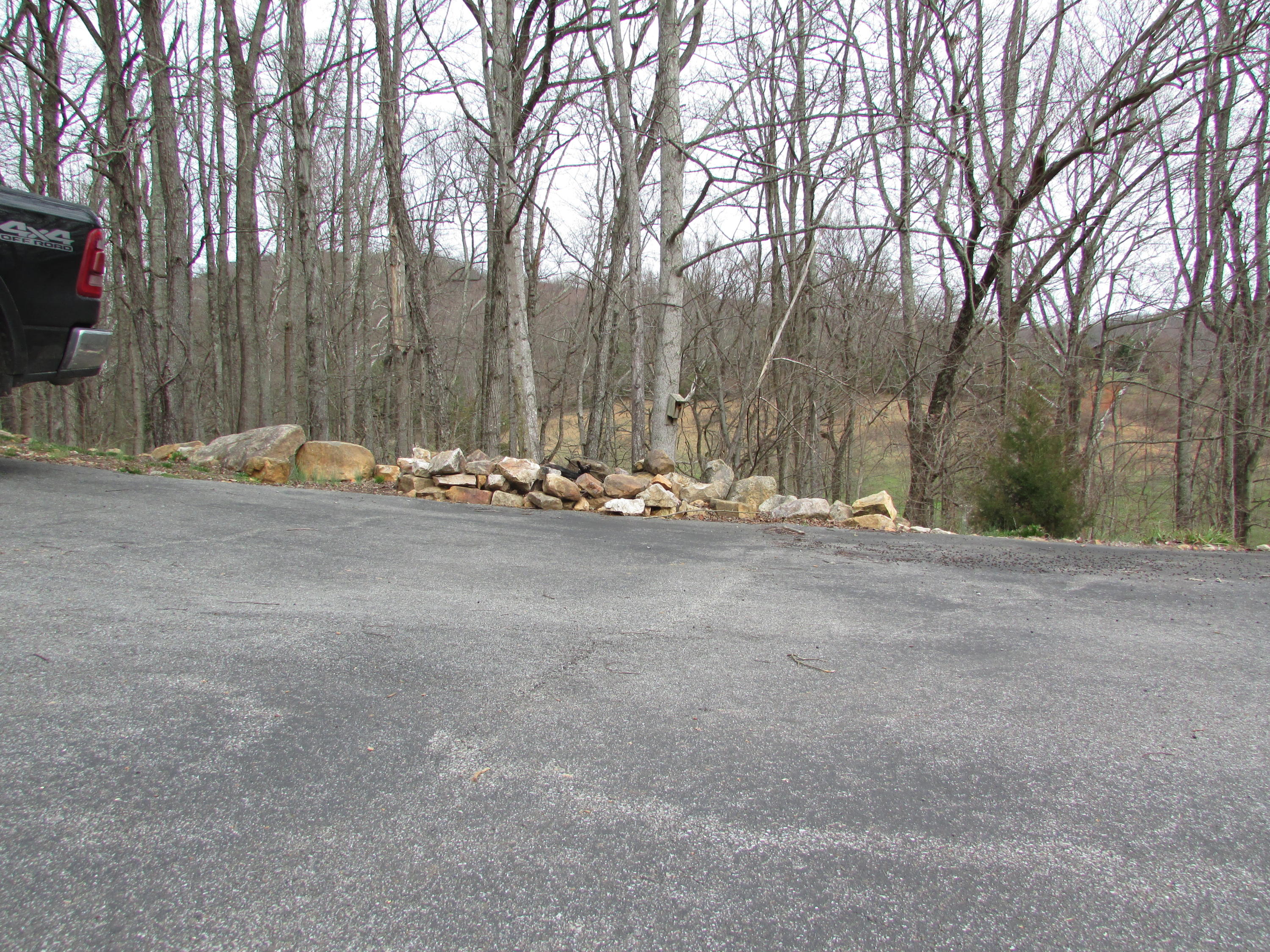 361 Rocky Branch Road Elizabethton, TN 37643 - Photo 41 of 42 IMG_5157
