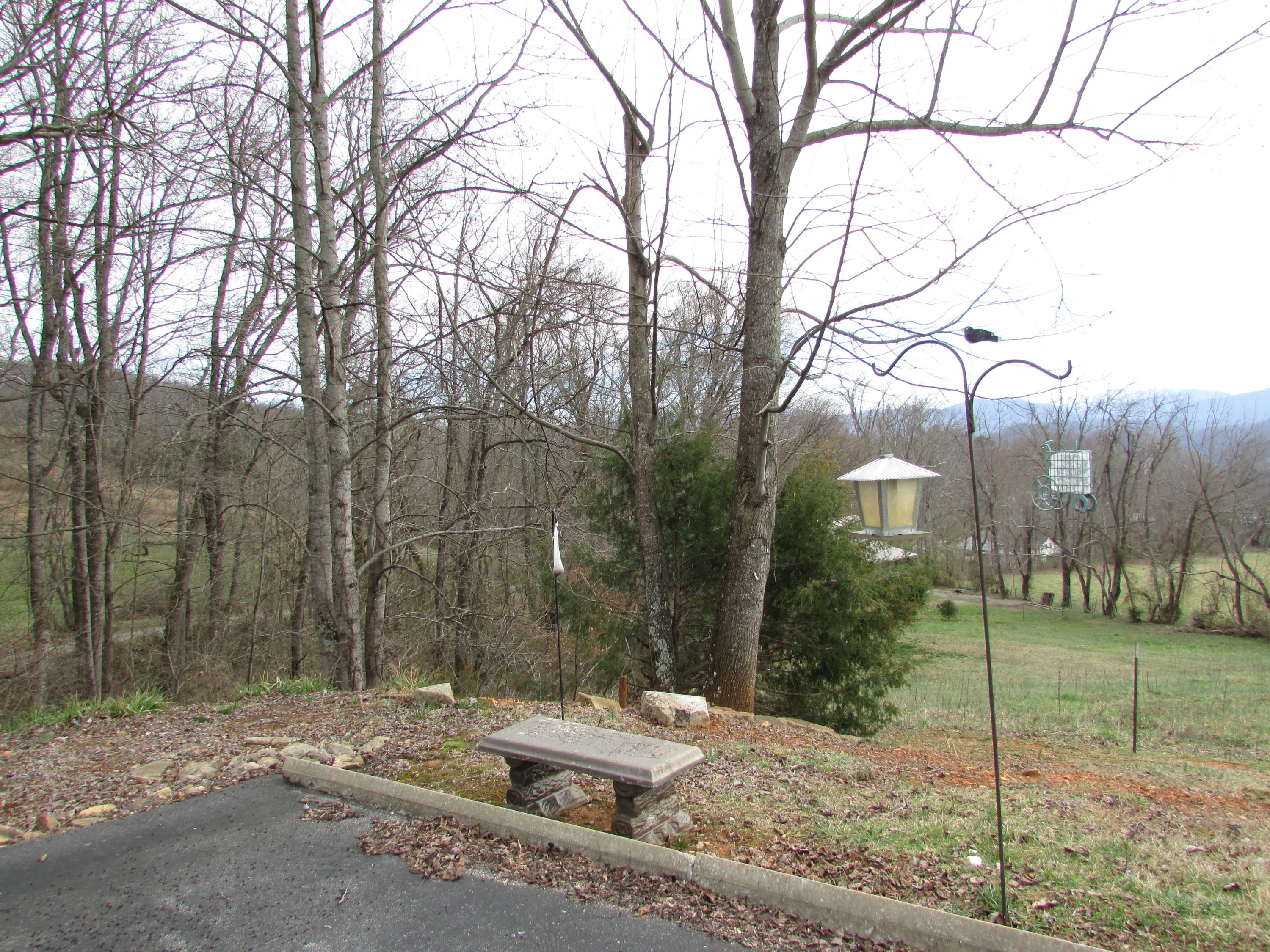 361 Rocky Branch Road Elizabethton, TN 37643 - Photo 42 of 42 IMG_5158