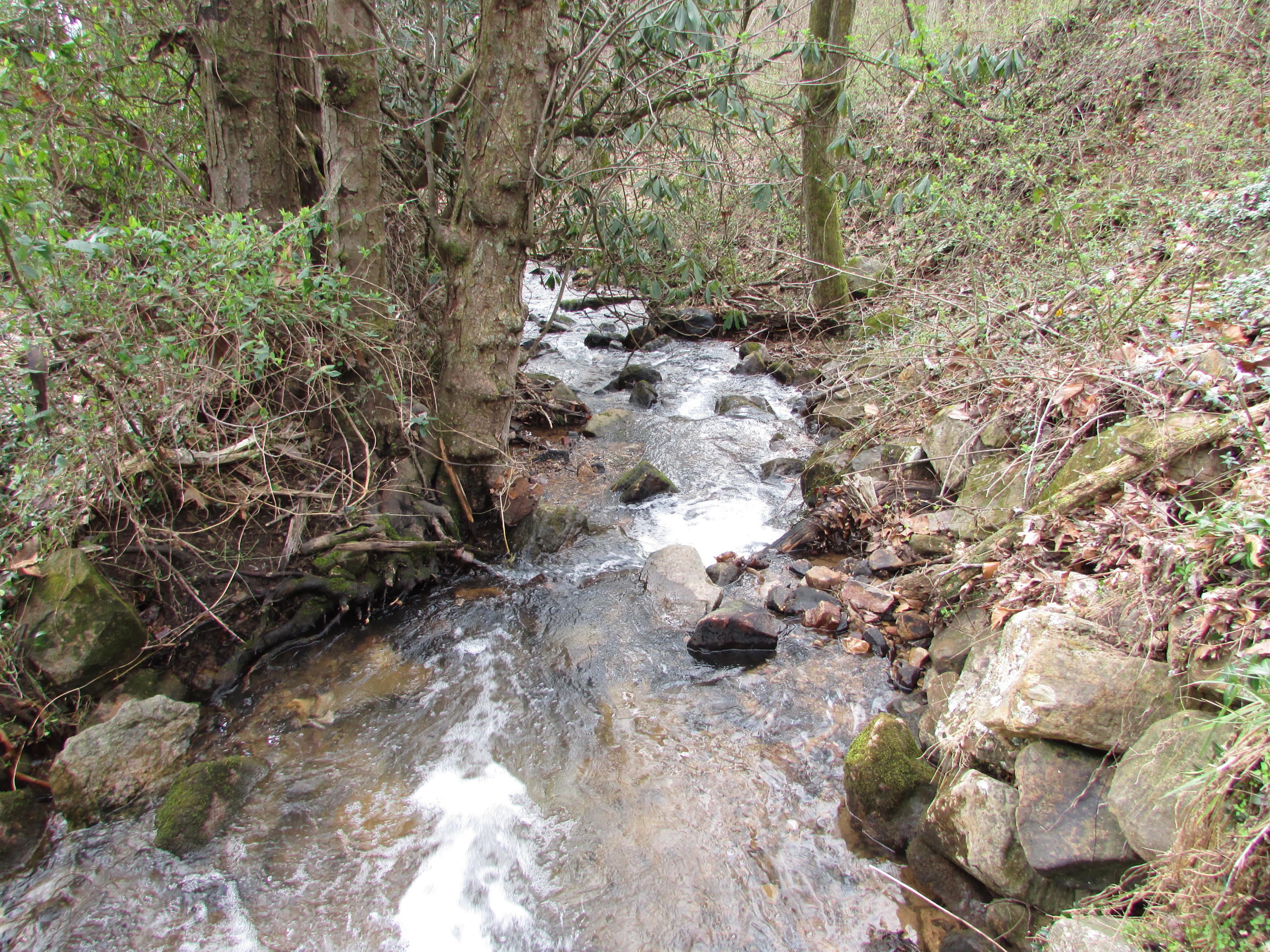361 Rocky Branch Road Elizabethton, TN 37643 - Photo 5 of 42 IMG_5163