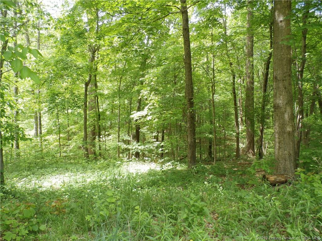 835 Hunter's Trace Road Palmyra, IN 47164 - Photo 35 of 50