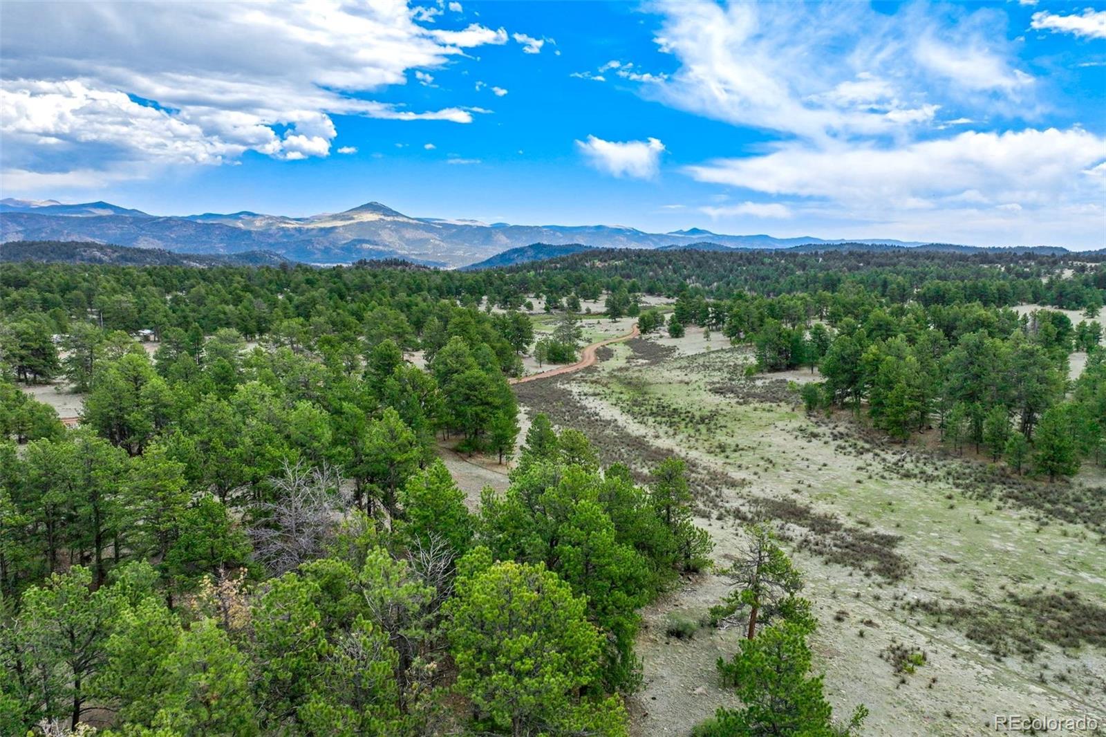103 Doe Valley Road Guffey, CO 80820 - Photo 29 of 46