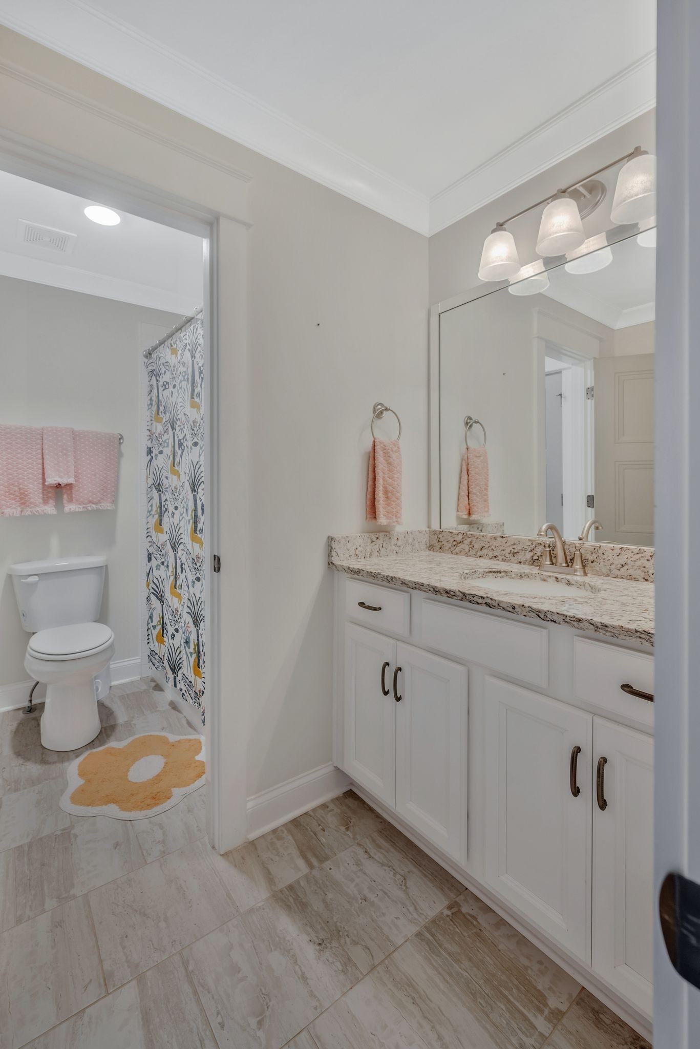 1009 Alpaca Drive Spring Hill, TN 37174 - Photo 38 of 48 a bathroom with a sink a toilet and shower