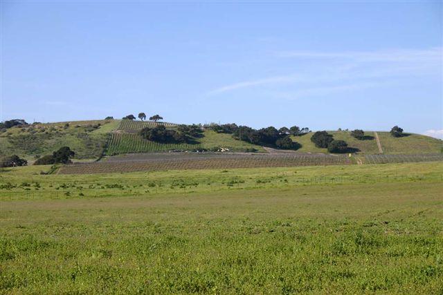0 Mesa Verde Road Solvang, CA 93463 - Photo 5 of 8 North Vineyard