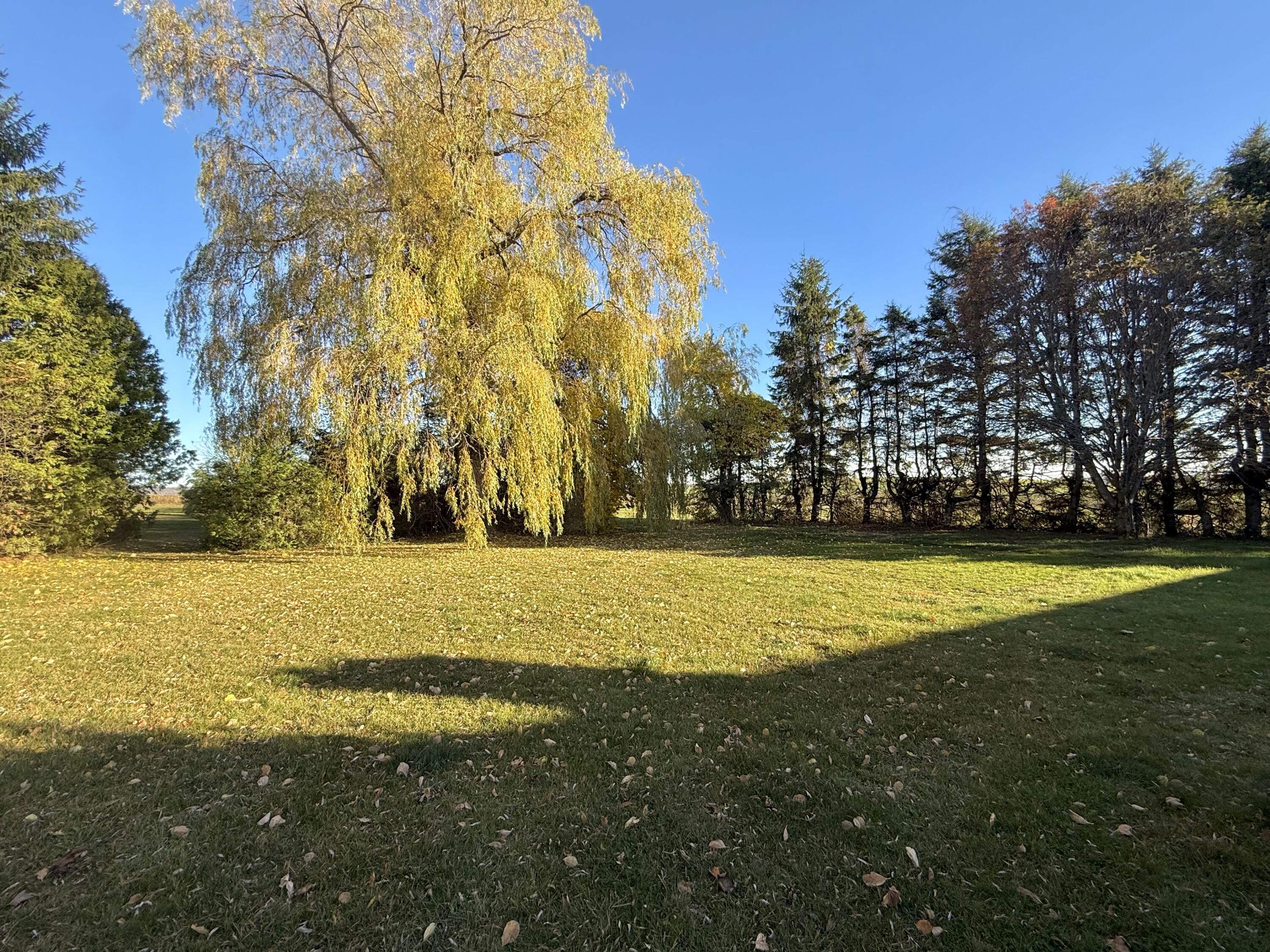 163 Caribou Road Presque Isle, ME 04769 - Photo 5 of 26 IMG_1463