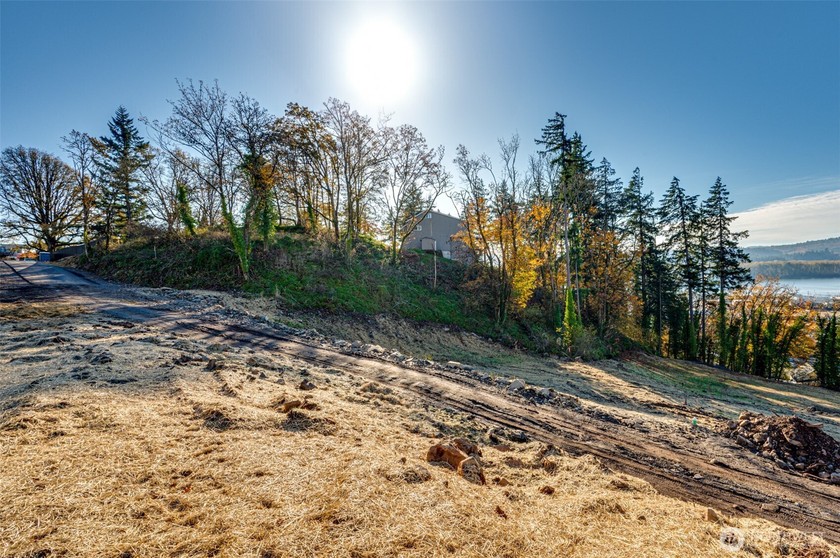 0 Spencer Creek Road, Unit LOT 2 Kalama, WA 98625 - Photo 7 of 30 a view of a yard with trees in front of it